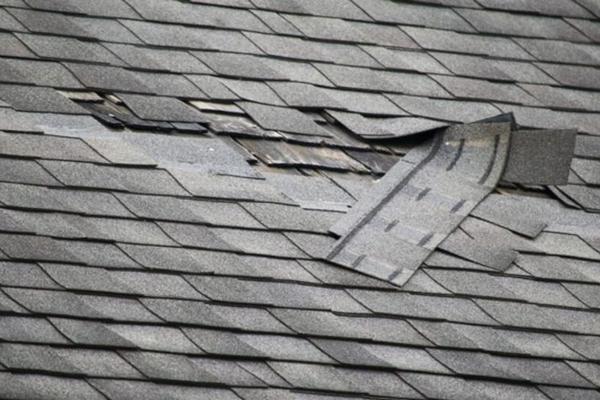 Shingle Damage to a roof in need of roof repair in mentor ohio