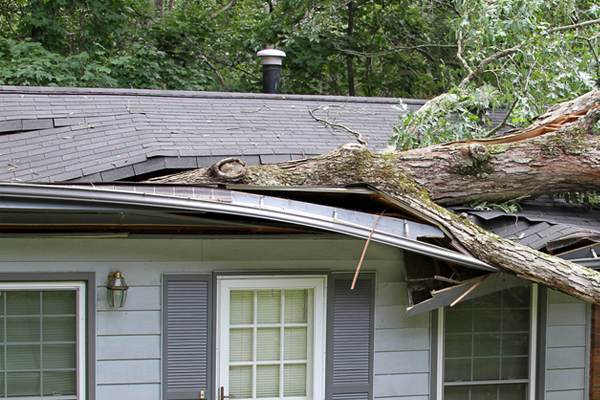 storm wind roof damage