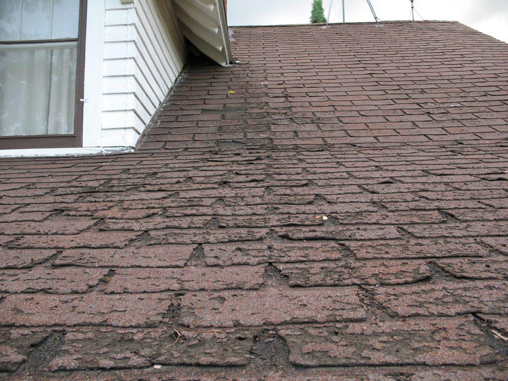signs you need a new roof
