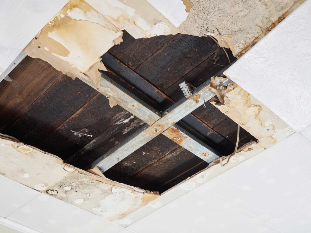 Best Roof Replacement Company