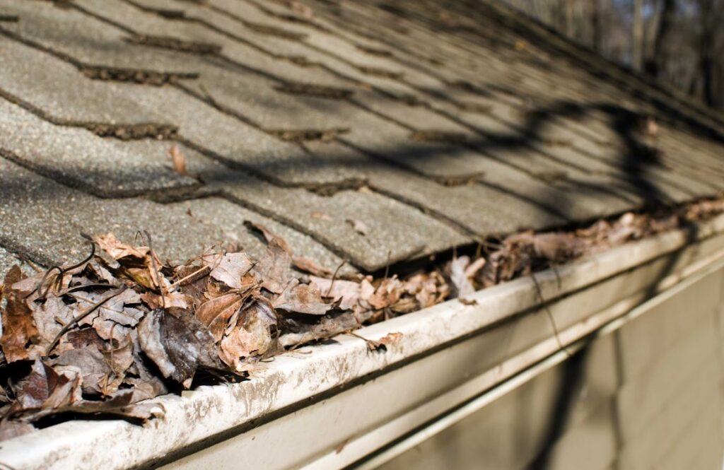 clogged gutters common drainage failures