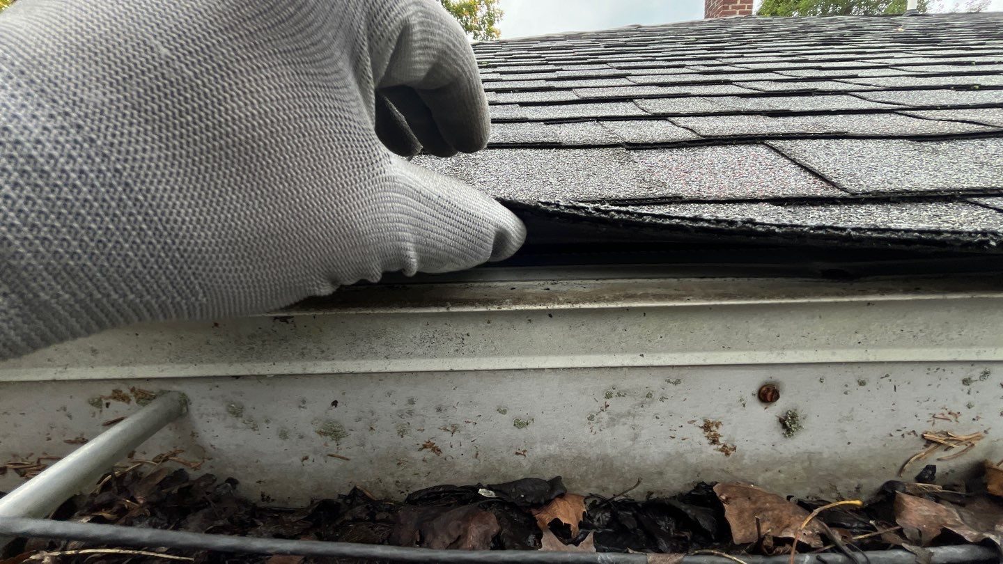 Roof inspection showing leaf debris packed in a gutter beneath the shingle edge